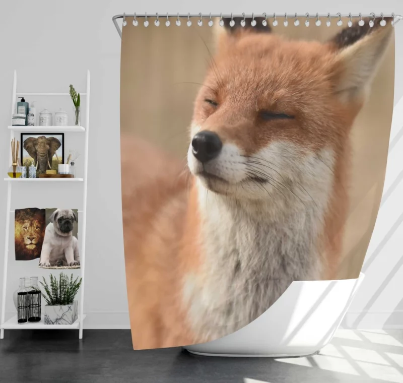 Enigmatic Stare Fox Charm Shower Curtain