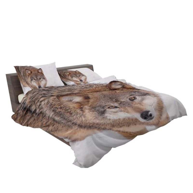 Enigmatic Wolf Gaze Untamed Wilderness Bedding Set 2