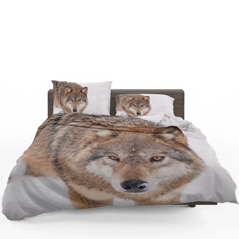 Enigmatic Wolf Gaze Untamed Wilderness Bedding Set