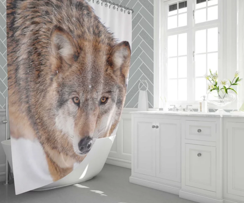 Enigmatic Wolf Gaze Untamed Wilderness Shower Curtain 1