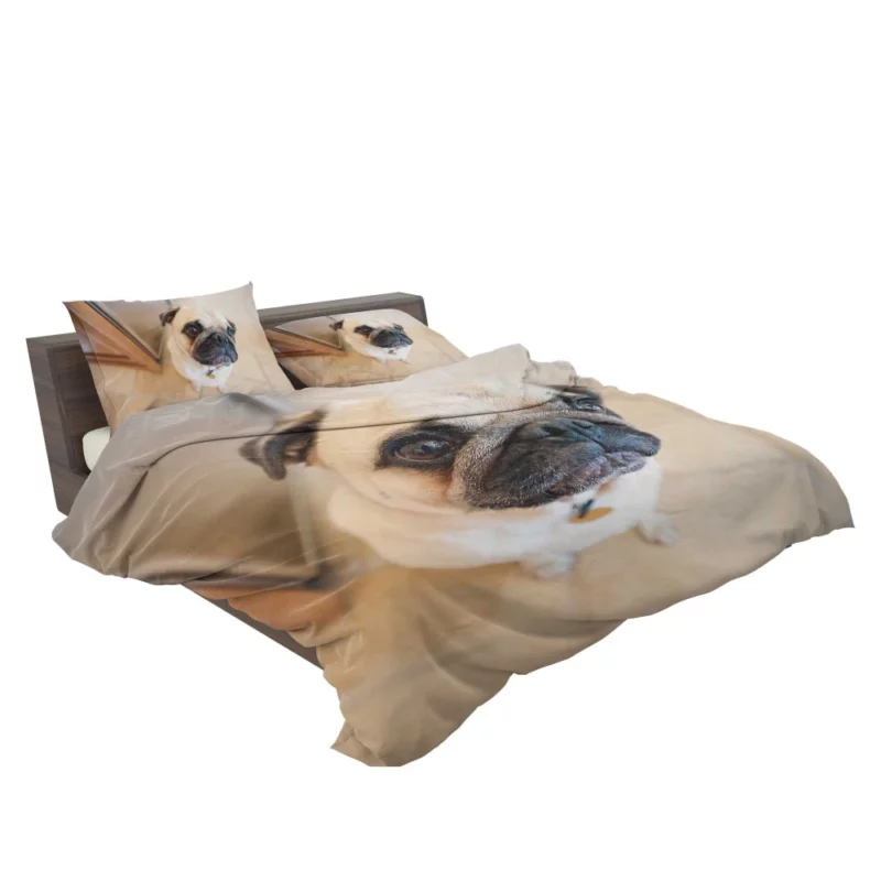 Expressive Play Pug Adorable Antics Bedding Set 2