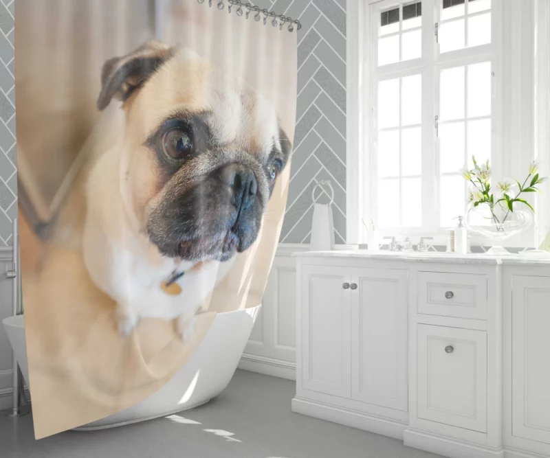 Expressive Play Pug Adorable Antics Shower Curtain 1