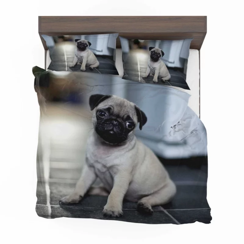 Expressive Pug Adorable Antics Bedding Set 1