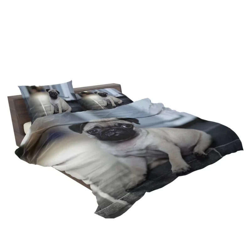 Expressive Pug Adorable Antics Bedding Set 2