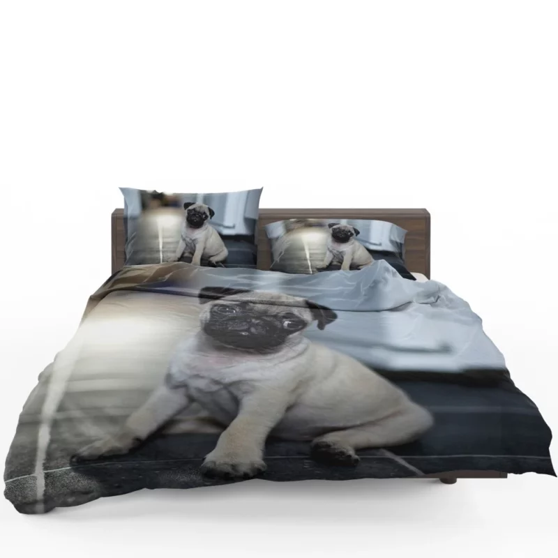 Expressive Pug Adorable Antics Bedding Set