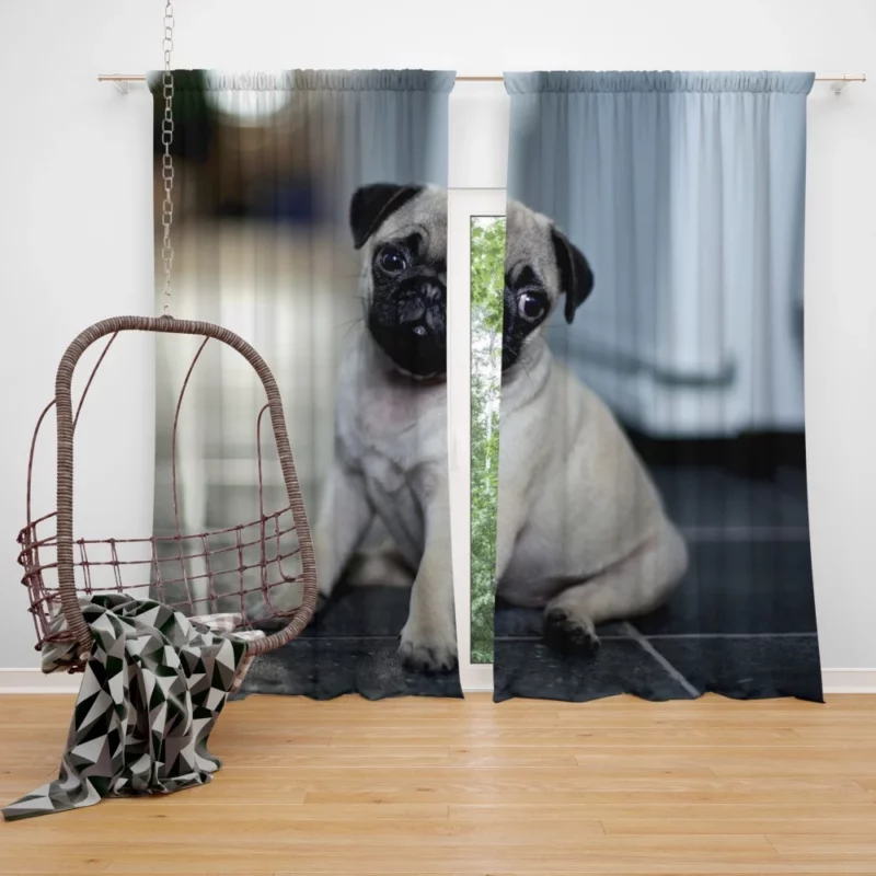 Expressive Pug Adorable Antics Curtain