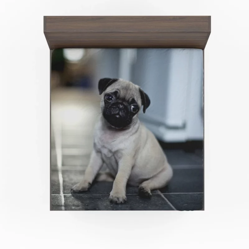 Expressive Pug Adorable Antics Fitted Sheet 1