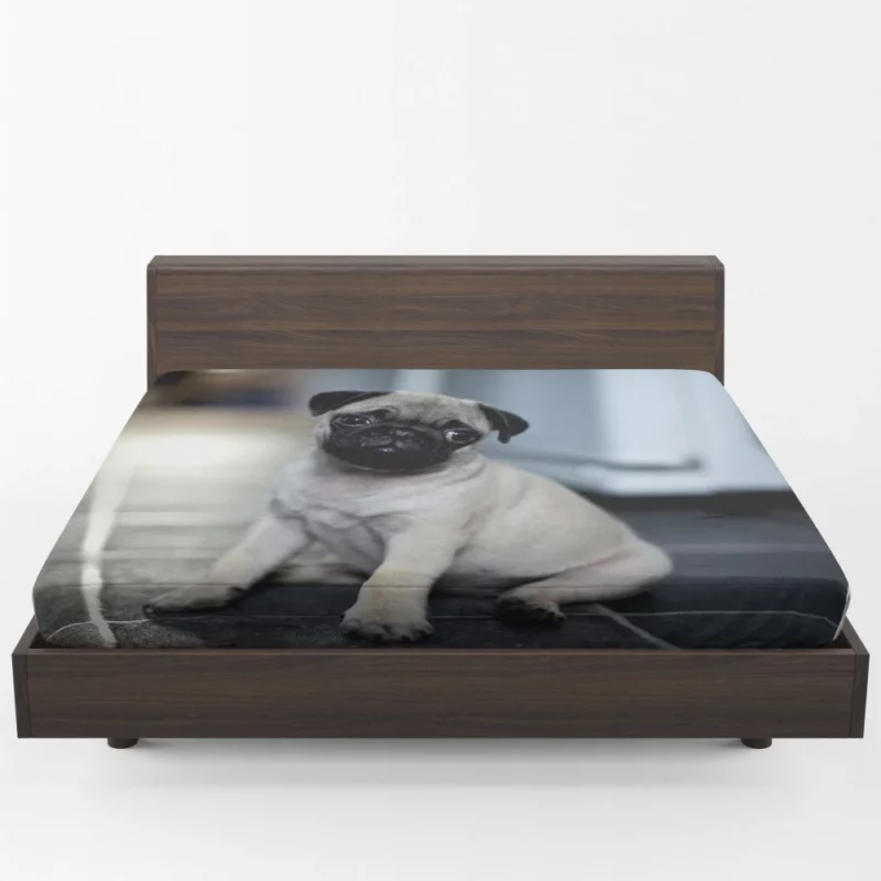 Expressive Pug Adorable Antics Fitted Sheet