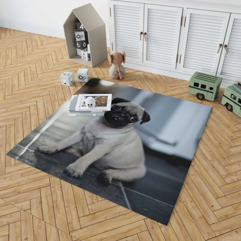 Expressive Pug Adorable Antics Rug 1