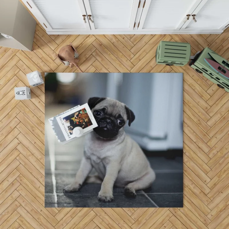 Expressive Pug Adorable Antics Rug