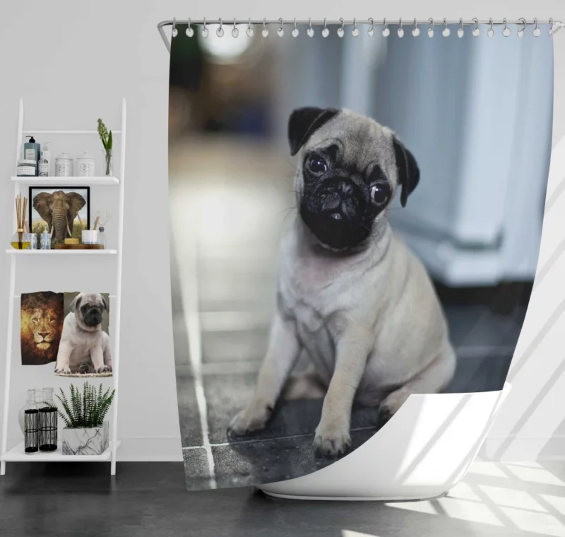 Expressive Pug Adorable Antics Shower Curtain