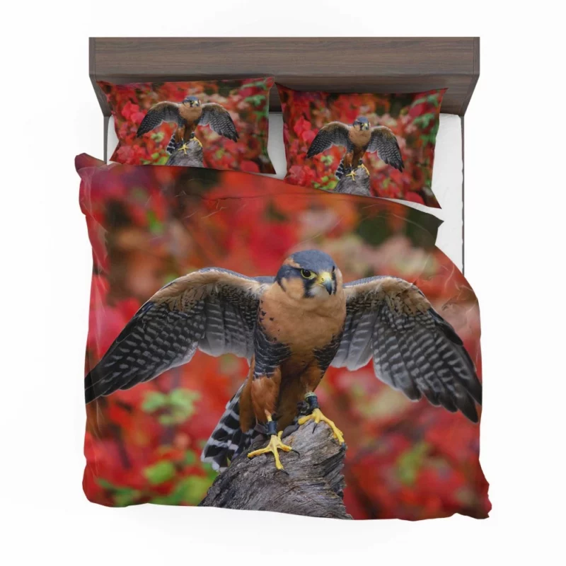 Falcon Aerial Prowess Hunter Flight Bedding Set 1