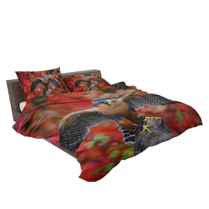 Falcon Aerial Prowess Hunter Flight Bedding Set 2