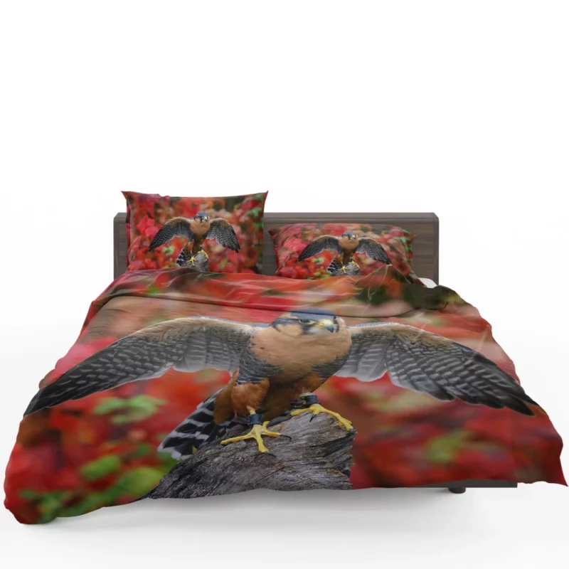 Falcon Aerial Prowess Hunter Flight Bedding Set