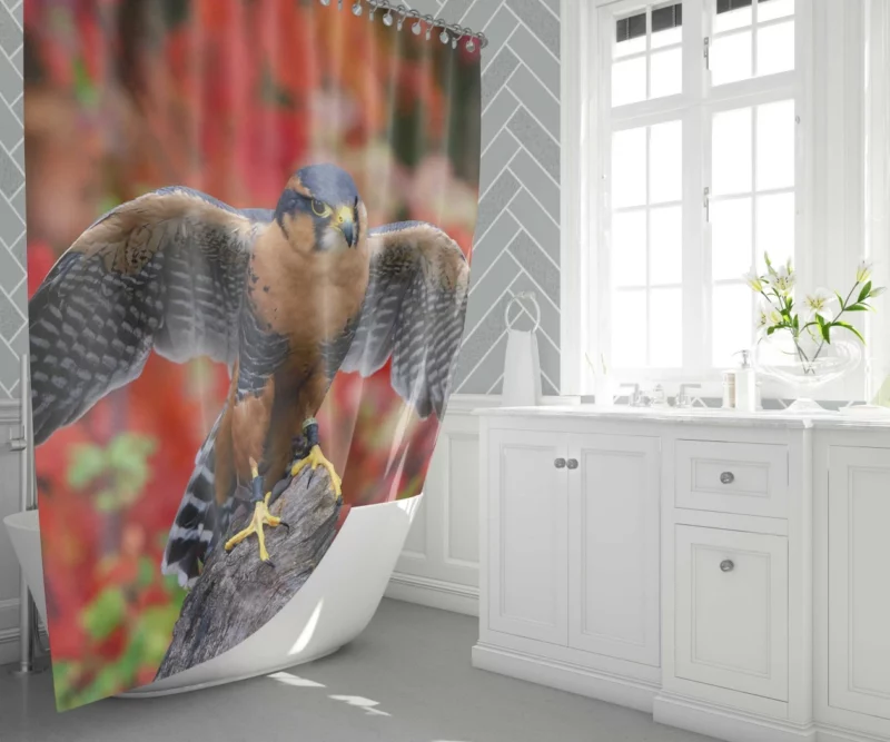 Falcon Aerial Prowess Hunter Flight Shower Curtain 1