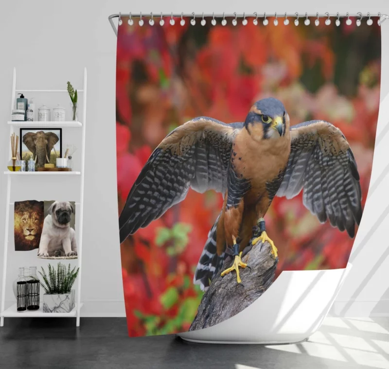 Falcon Aerial Prowess Hunter Flight Shower Curtain