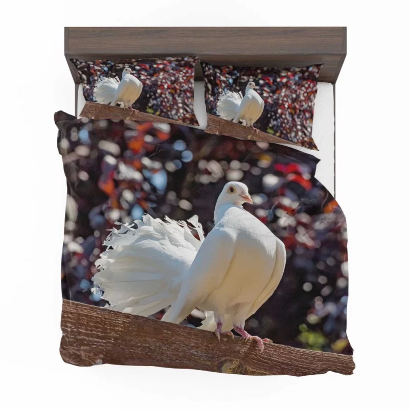 Fantail Pigeon Graceful Stance Feathered Wonder Bedding Set 1