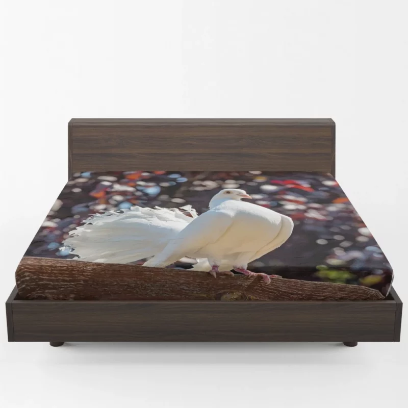 Fantail Pigeon Graceful Stance Feathered Wonder Fitted Sheet