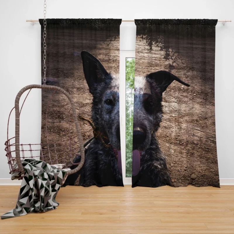 Far Cry 5 Loyal Companion Boomer Curtain