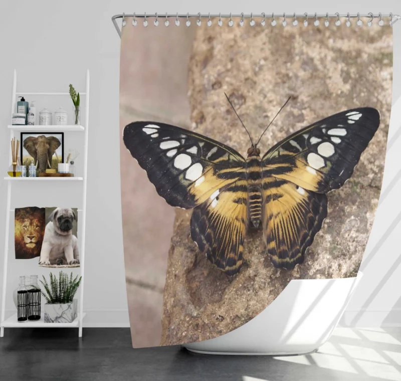 Farfalla Dance Nature Elegance Shower Curtain