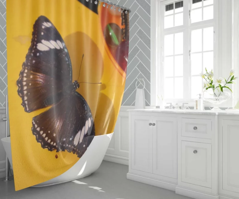 Farfalla Flight Butterfly Beauty Shower Curtain 1