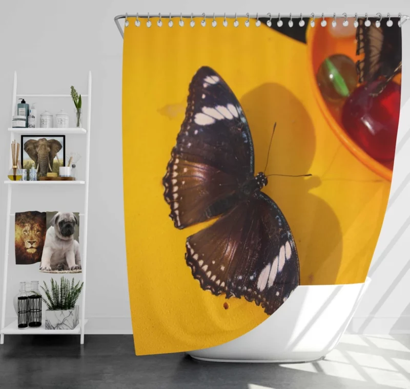 Farfalla Flight Butterfly Beauty Shower Curtain