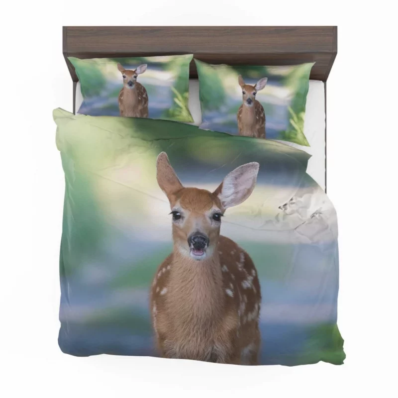 Fawn Innocent Wonder Wilderness Charm Bedding Set 1