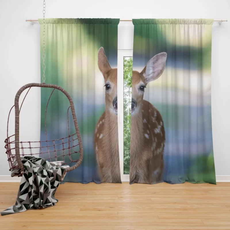 Fawn Innocent Wonder Wilderness Charm Curtain