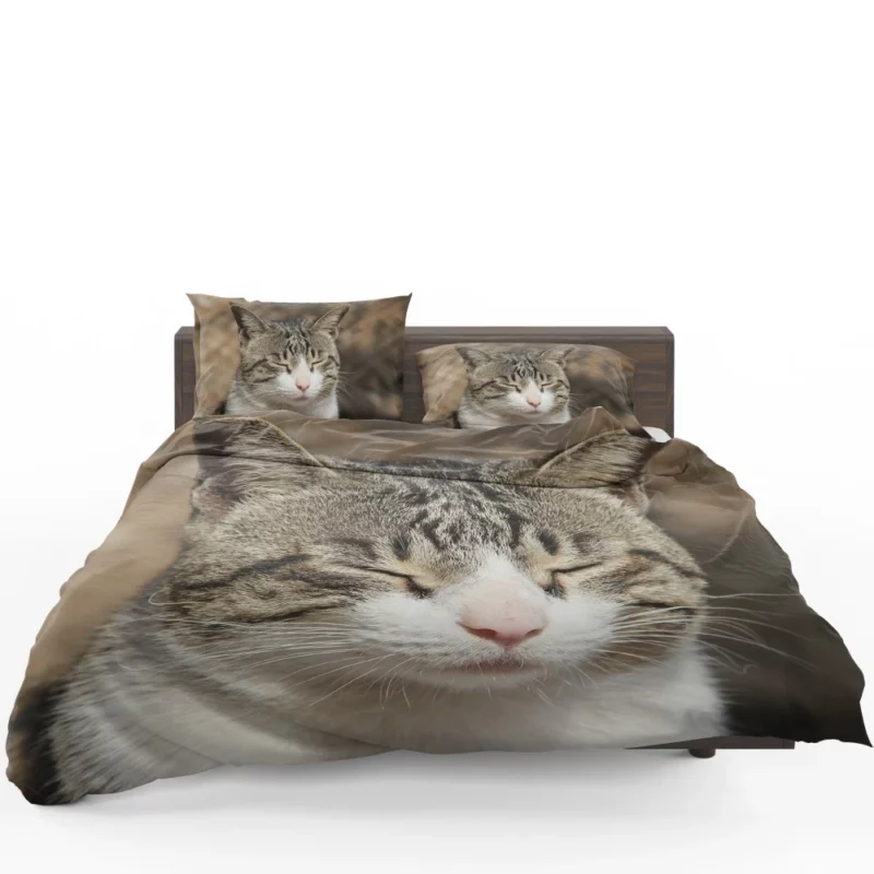 Feline Adventure Curious Cat Whiskers Bedding Set