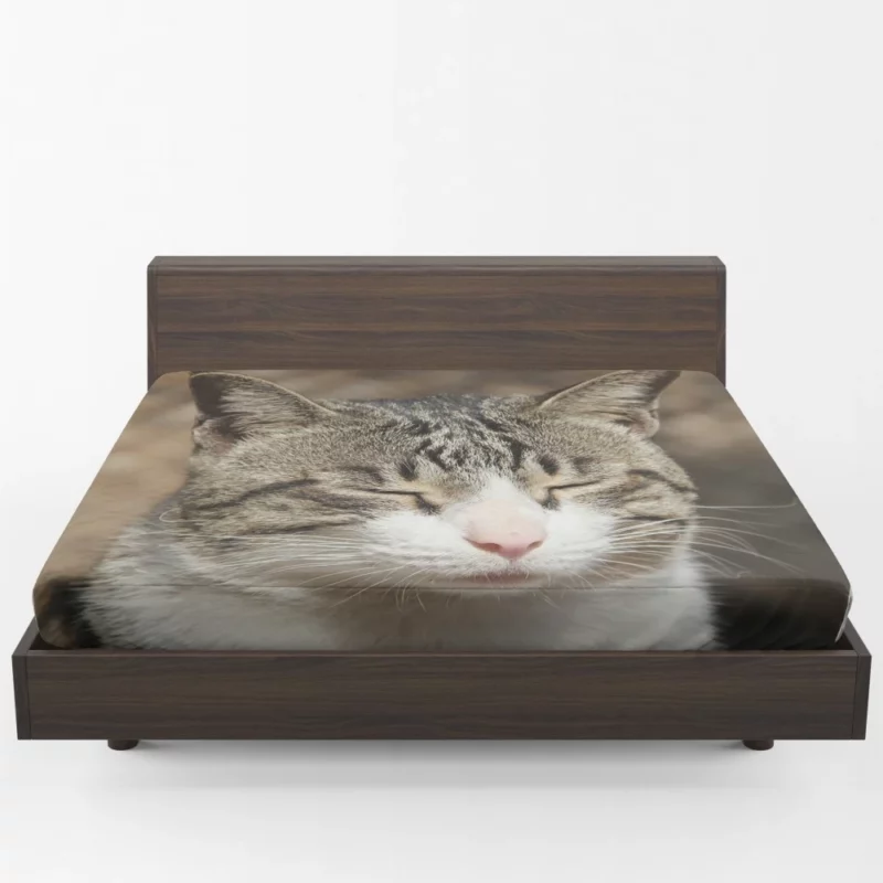 Feline Adventure Curious Cat Whiskers Fitted Sheet