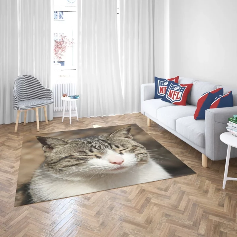 Feline Adventure Curious Cat Whiskers Rug 2