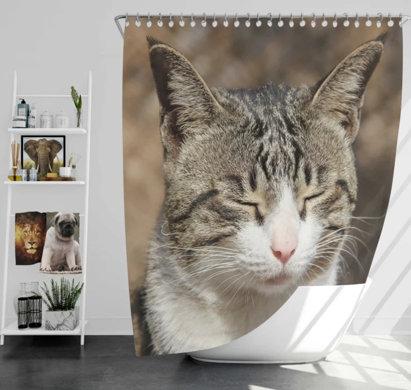 Feline Adventure Curious Cat Whiskers Shower Curtain