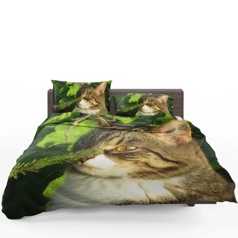 Feline Charm Whiskered Playfulness Bedding Set