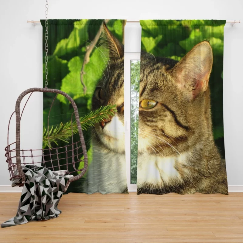 Feline Charm Whiskered Playfulness Curtain