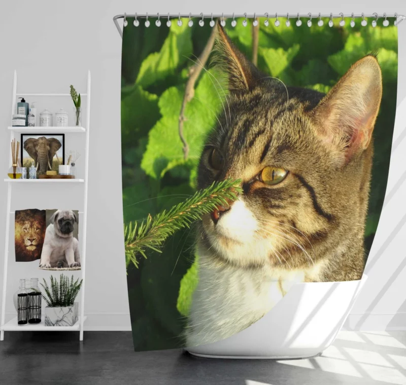 Feline Charm Whiskered Playfulness Shower Curtain