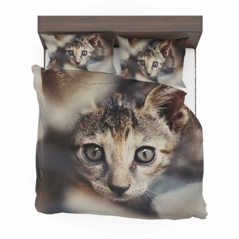 Feline Elegance Brown Beauty Bedding Set 1