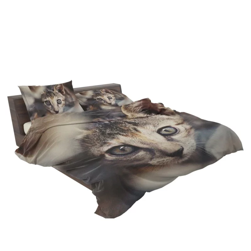 Feline Elegance Brown Beauty Bedding Set 2