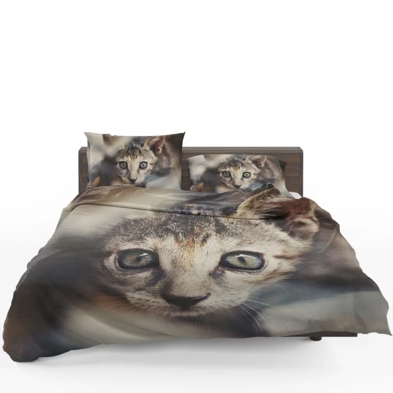 Feline Elegance Brown Beauty Bedding Set