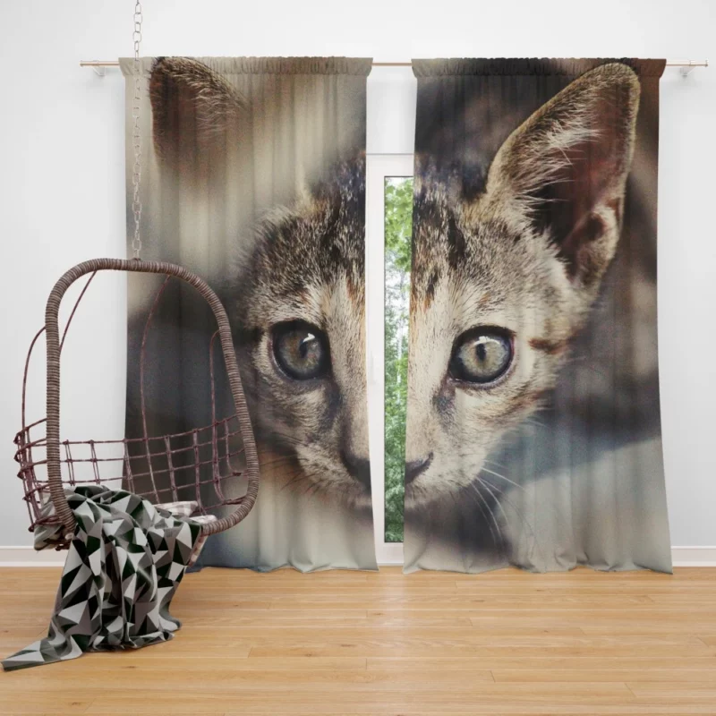 Feline Elegance Brown Beauty Curtain