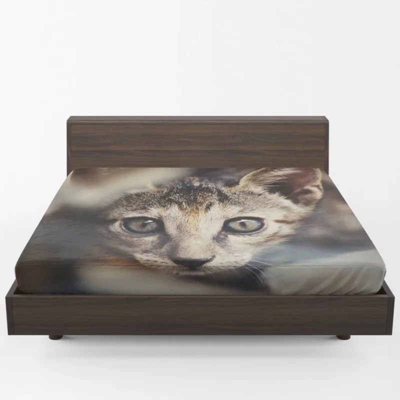 Feline Elegance Brown Beauty Fitted Sheet