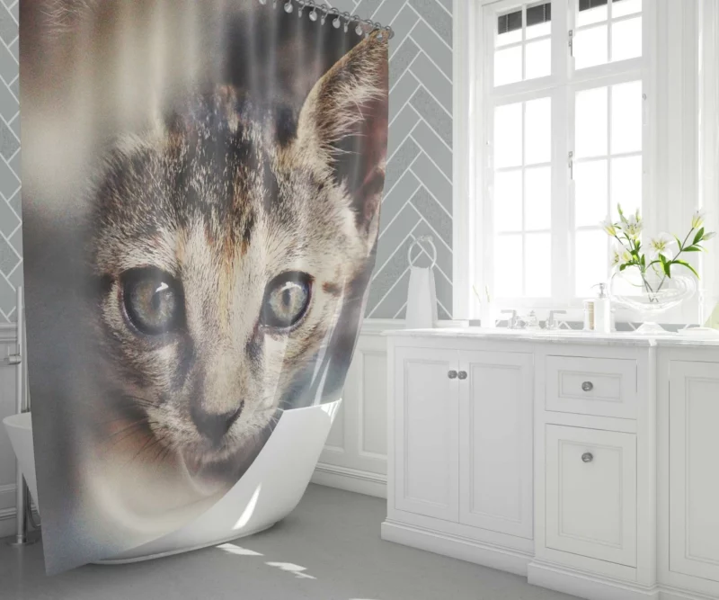 Feline Elegance Brown Beauty Shower Curtain 1