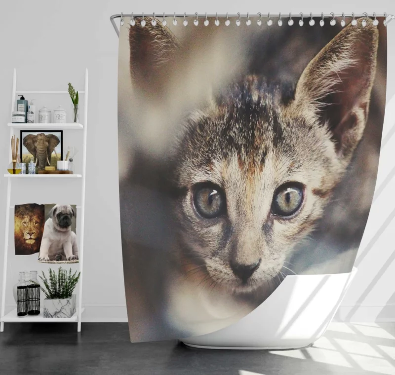 Feline Elegance Brown Beauty Shower Curtain