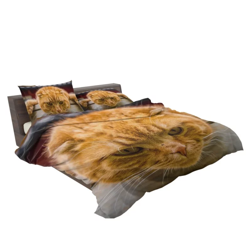 Feline Fascination Cat Mysterious Gaze Bedding Set 2