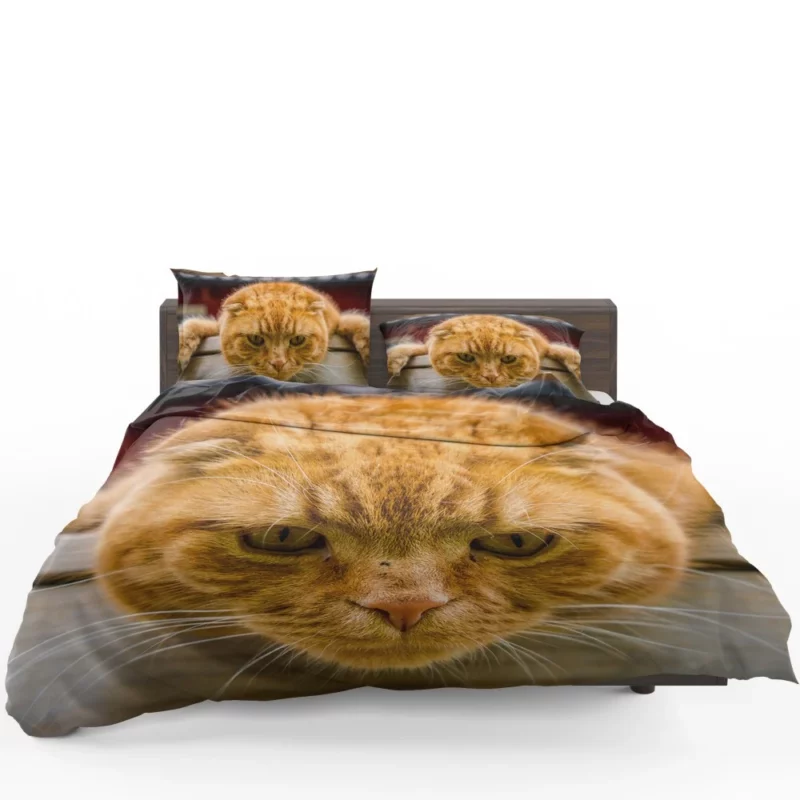 Feline Fascination Cat Mysterious Gaze Bedding Set