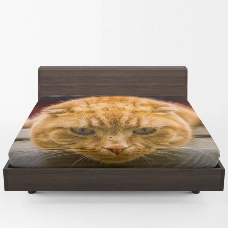 Feline Fascination Cat Mysterious Gaze Fitted Sheet