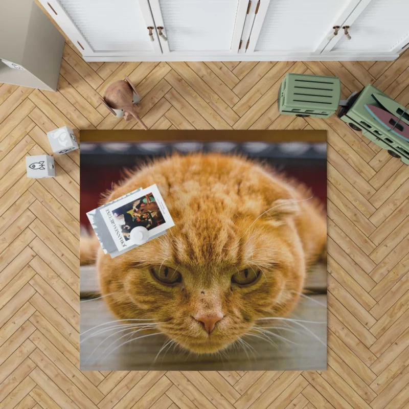 Feline Fascination Cat Mysterious Gaze Rug