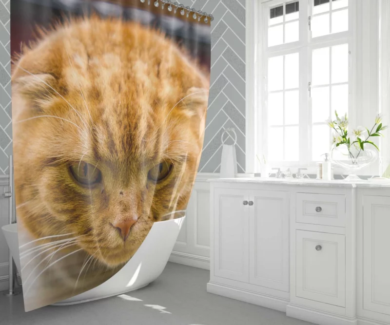 Feline Fascination Cat Mysterious Gaze Shower Curtain 1