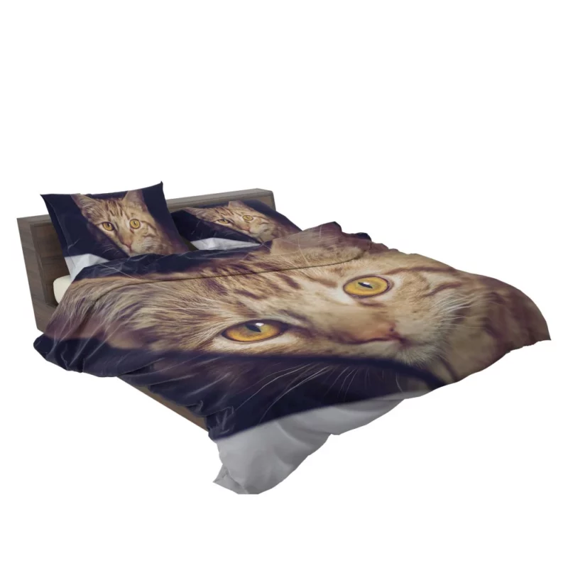 Feline Fascination Cat Mysterious Stare Bedding Set 2