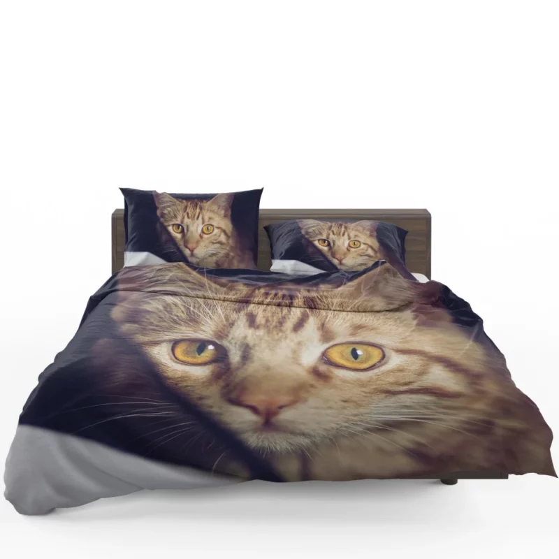 Feline Fascination Cat Mysterious Stare Bedding Set