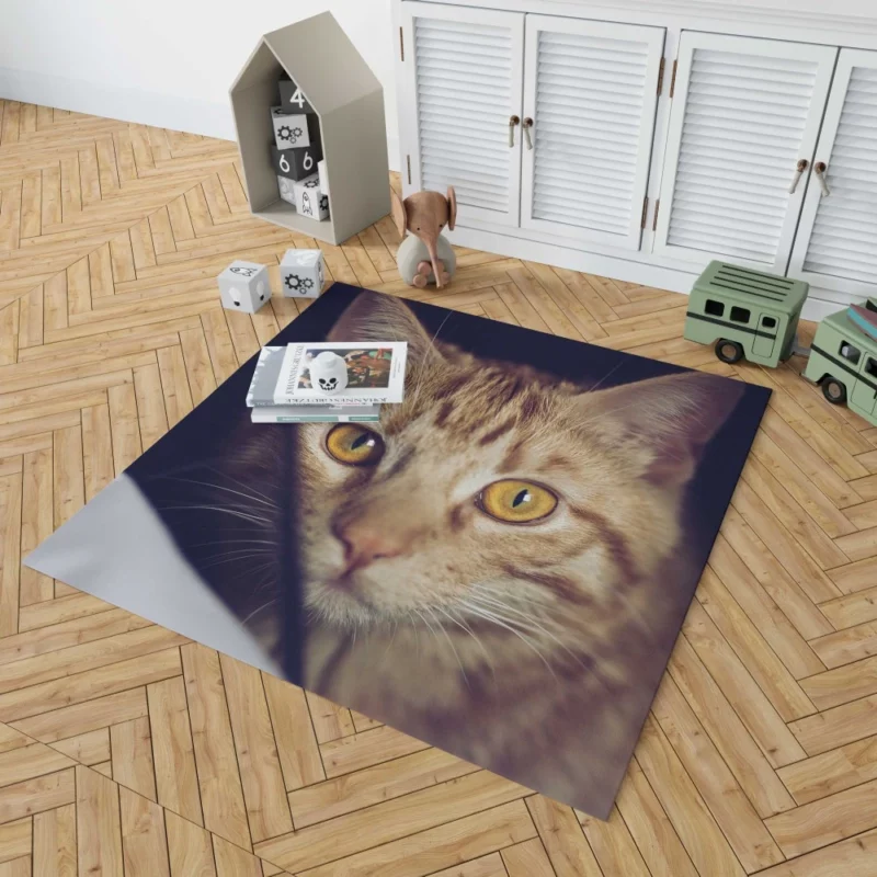 Feline Fascination Cat Mysterious Stare Rug 1